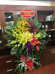 Không có ảnh
